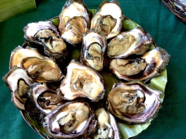 Bohol Countryside Tour - Tagbilaran City