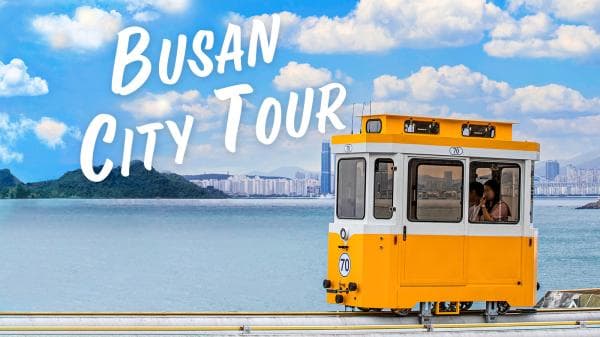 Busan 1-Day Tour|Sky Capsule & Train, Gamcheon, Yacht, Bamboo Forest, Huinnyeoul, Yonggungsa, & More