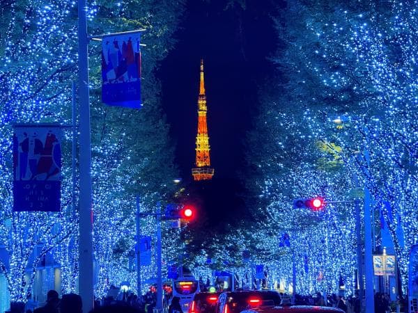 Tokyo Tower Main Observatory Ticket