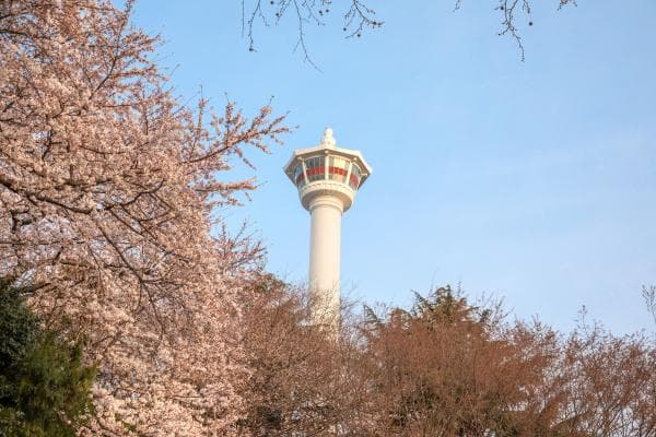 Busan Tower Observatory Admission Ticket