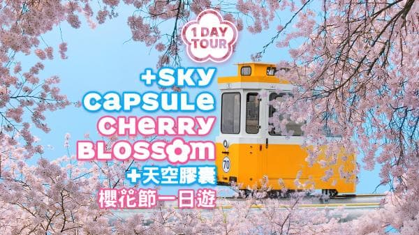 Unforgettable Busan Cherry Blossom Spring Getaway