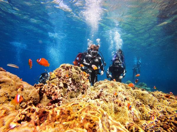 Lanyu offers one-on-one diving experience without certification | Free photography