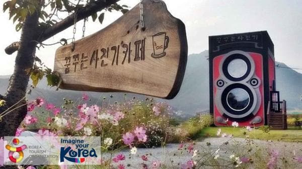 Best Yangpyeong Day Trip from Seoul: Nature & Scenery