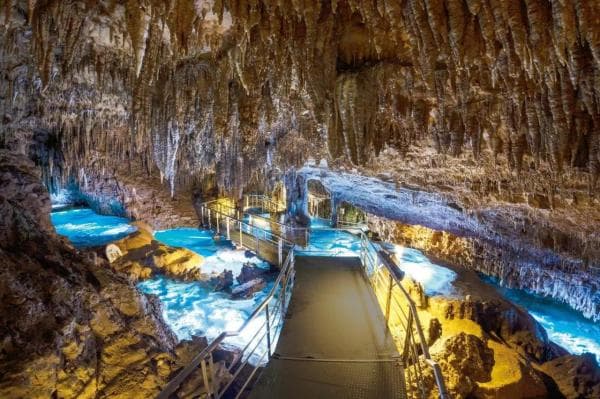 【Guaranteed Departure for Solo Traveler】Okinawa Southern Slow Bus Day Trip | Chinen Cape & Gyokusendo Cave & Seafood Market | iias/Outlet/Senaga Island (Optional) | Chinese-speaking Guide