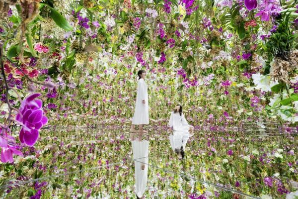 Immersive Digital Art Experience: teamLab Planets Tokyo
