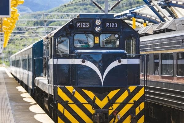 Blue-skinned Jieyou Sightseeing Train Package | Ticket & Chinese Guide & Special Meals