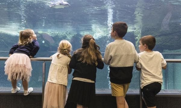 International Antarctic Centre Ticket | New Zealand