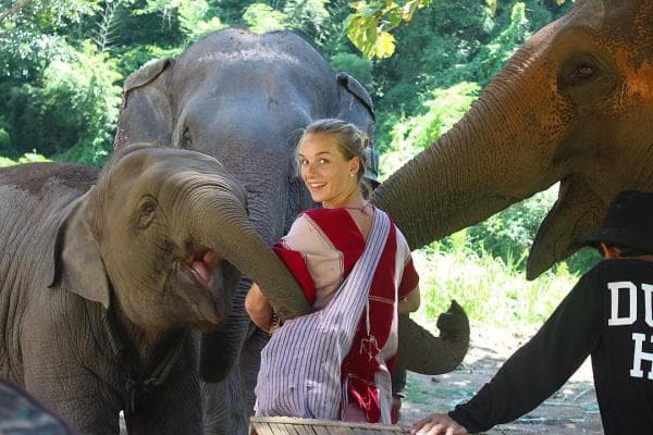 Kerchor Elephant Eco Park Half-Day & Full-Day Tour | Chiang Mai