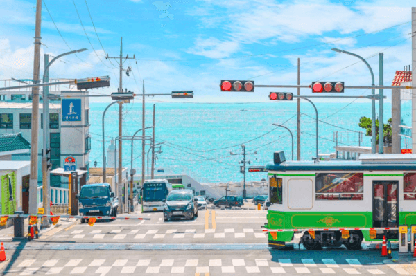 Departing from Busan, Korea | Suncheon Bay National Garden · Geoje Island · Palgongsan Cable Car