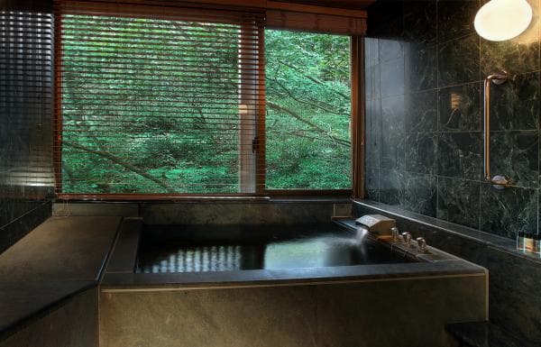 Beitou Hot Springs | Risheng Shengjia International Hot Spring Hotel | Public Bath/Private Bath