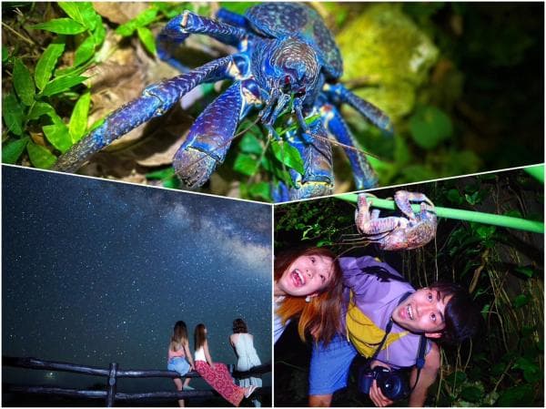 Starry Sky Observation & Jungle Night Tour | Ishigaki island, Okinawa