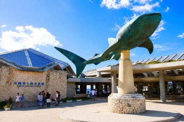 [Guaranteed Departure from 1 Person] Northern Okinawa Day Tour | 4-Hour Stay at Churaumi Aquarium, Kouri Island & Cape Manzamo (Chinese-Speaking Guide)