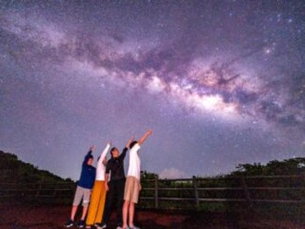 Iriomote Island Night Jungle & Starry Sky Tour with Hotel Pick-Up | Uehara Area