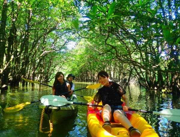 Barasu Island Snorkeling + Mangrove Canoe/SUP Tour Reservation with Hotel Pick-up in Uehara Area and Free Photo Data (Iriomote Island, Okinawa)