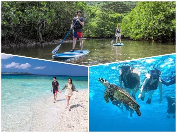 Barasu Island Snorkeling + Mangrove Canoe/SUP Tour Reservation with Hotel Pick-up in Uehara Area and Free Photo Data (Iriomote Island, Okinawa)