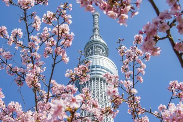 Tokyo Skytree Tickets