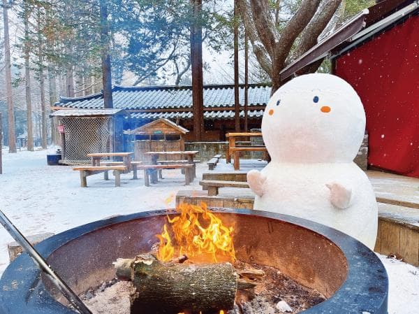 Nami Island Discount Tickets