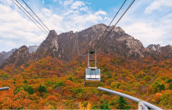 South Korea Gangwon-do Day Trip | Autumn Seoraksan Mountain Maple Viewing Day Tour with Optional Cable Car Ride | Sokcho Beach, Tourist & Fishery Market, Foot Spa Park, Seoraksan Cable Car | Departing from Seoul