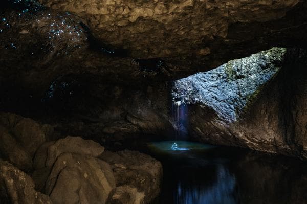 Mount Tamborine National Park Glow Worm Half-Day Tour | Gold Coast