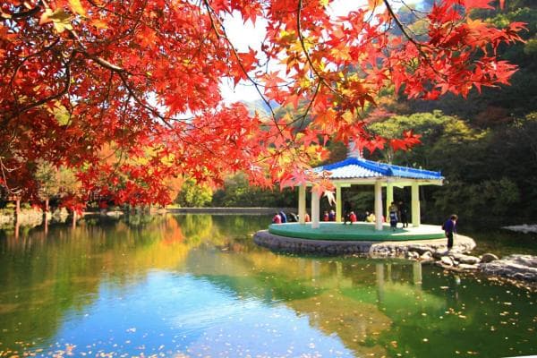 Jeolla Province, South Korea | Naejangsan Mountain + Jeonju Hanok Village Autumn Foliage Viewing Day Trip | Departing from Seoul