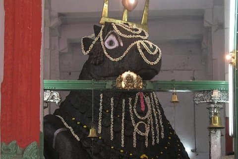 Sacred Bull walking tour in Bangalore with guide