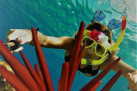 Molokini Crater Snorkel Adventure and Turtle Cove - High Quality
