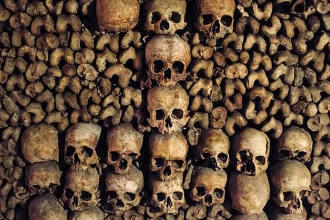 Paris Catacombs Guided Tour with Exclusive Access to Secret Areas