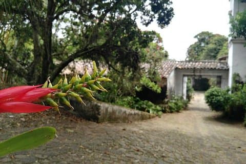 Senderos Del Café Tour From Veracruz Or Boca Del Rio