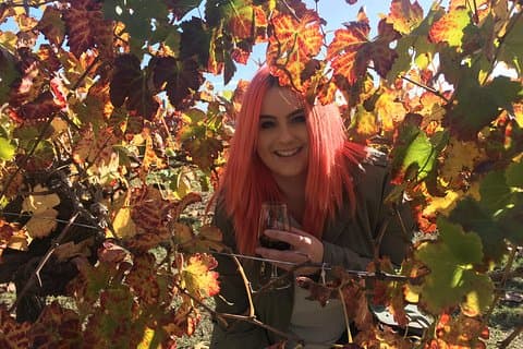 Swan Valley Winery Experience - Full Day Coach Tour