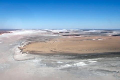 Ayers Rock and Kata Tjuta 1-Hour Scenic Flight: Lizard Safari