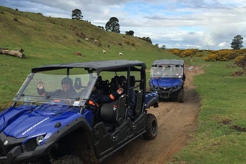 Rotorua Off-Road 4WD Buggy Adventure