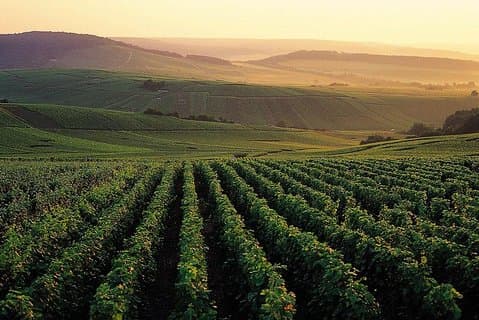 Private Full-Day Tour of Champagne Region