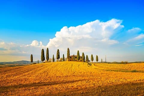 Private Tuscany Tour: Pienza, Montepulciano Wine Tasting & Lunch