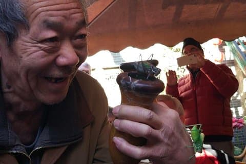 Private Hutong Culture Tour with Dumpling Cooking Class plus Cricket Fighting Game