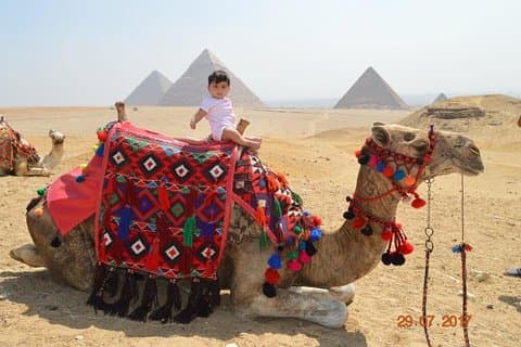 Layover tour in Cairo Visit Giza Pyramids and Sakkara and Dahshour and memphis