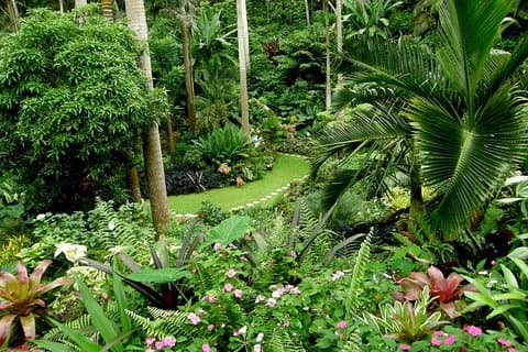 Hunte's Garden and St Nicholas Abbey small group Barbados tour