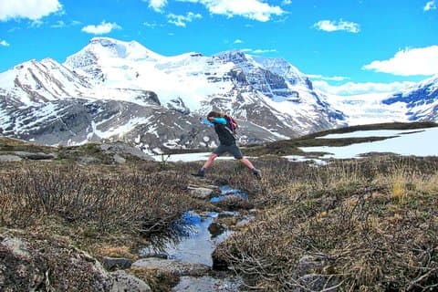 Banff to Jasper One-Way Tour
