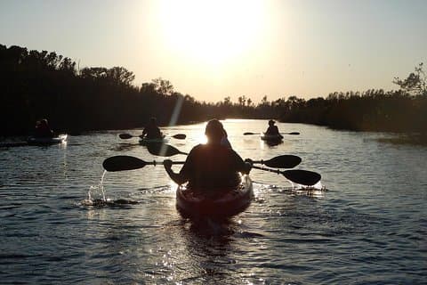Manatees/Sunset/Bioluminescence Kayak Tour