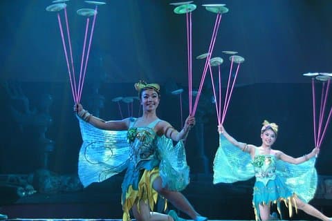 Acrobatics Show plus Ding Tai Fung Dinner Experience in Beijing