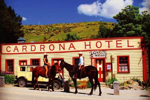 Cardrona High Country Pub Trail Horse Trek (Intermediate level+)