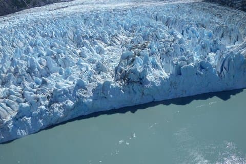 Glacier & Wildlife Discovery Tour