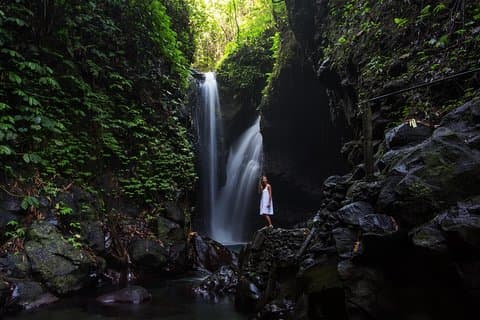 Gitgit and Alingaling Waterfalls Private Group Tour - Full Day