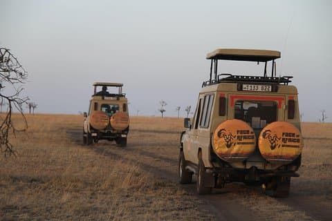 4 Days Game drives Safari Tarangire, Serengeti and Ngorongoro Crater