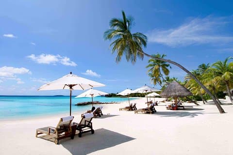 Nha Trang 3 Island Tour by Speedboat