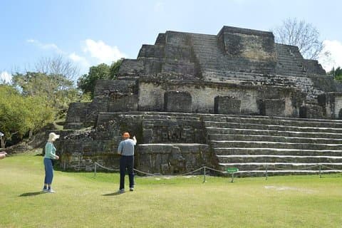 Monkeys and Maya Temples