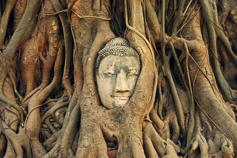 Ayutthaya Highlights Tour with Scenic Grand Pearl River Cruise
