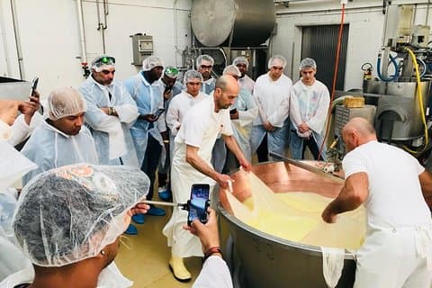 Bologna Food Experience: Factory tours & Lunch By Italian Days