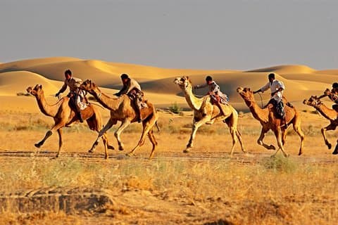 Private Golden Triangle Tour With Ajmer Pushkar