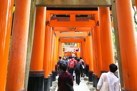 Kyoto Early Riser Golden One-Day Walking Tour