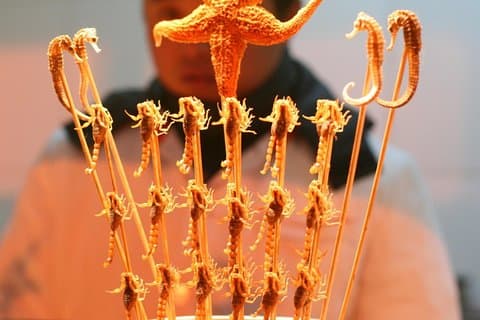 Beijing Private Night Tour